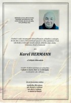 2Parte Hermann Karel