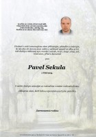 6Parte Sekula Pavel_Hradec nad Moravicí