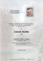 10Parte Hoblík Zdeněk_Hradec nad Moravicí