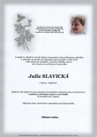 prosinec2022_Parte Slavická Julie_Opava