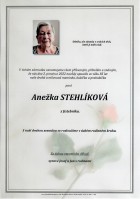 prosinec2022_Parte Stehlíková Anežka_Bílovec