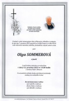 prosinec23_Parte Sommerová Olga_Hradec nad Moravicí
