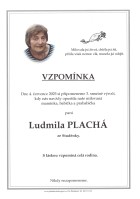 ilustrační foto